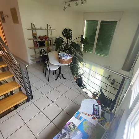 Casa Diana Locarno-cugnasco 招待所 *